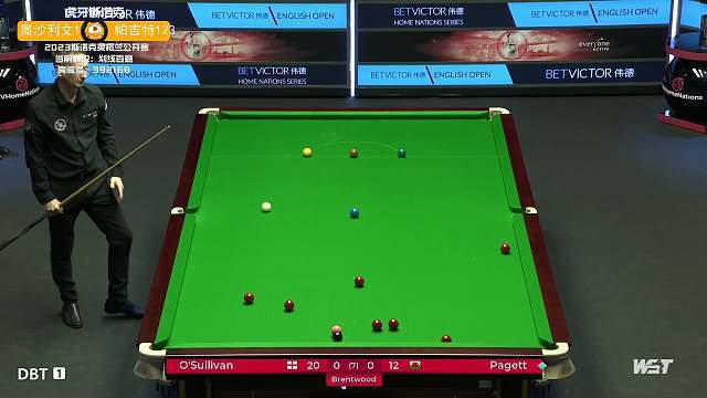 儘管兩人都 儘管兩人都