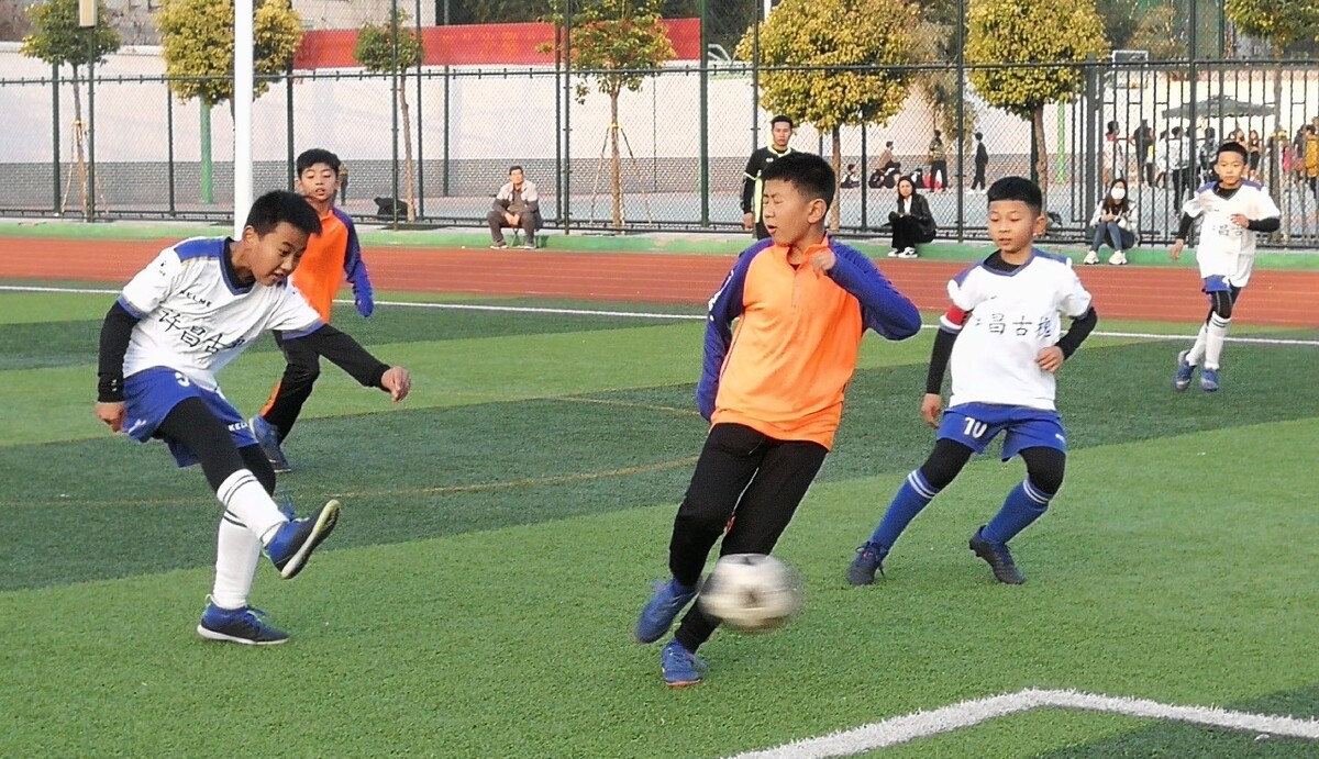 从而制定更 从而制定更