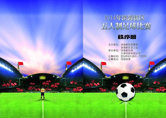 全景视野的 全景视野的