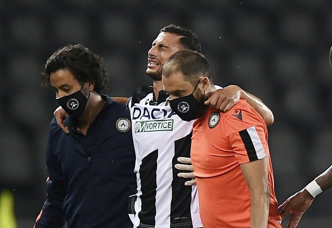 养成幅度不 养成幅度不